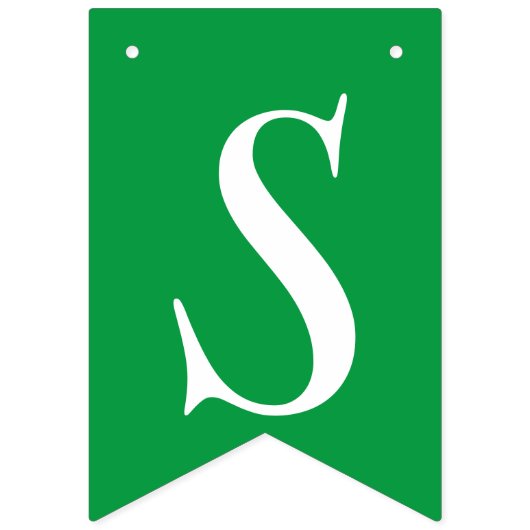 Leprechaun St Patrick's Day viering Vlaggetjes (Eerste vlag)