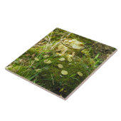 "Leprechaun's Pot of Gold in Moss!" Keramische Teg Tegeltje (Zijkant)