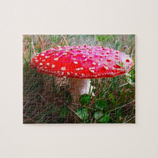 Leprechauns waar de kleine mensen in Ierland wonen Legpuzzel (Horizontaal)