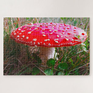 Leprechauns waar de kleine mensen in Ierland wonen Legpuzzel