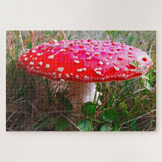 Leprechauns waar de kleine mensen in Ierland wonen Legpuzzel (Horizontaal)