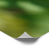 Leptinotarsa decemlineata poster (Hoek)