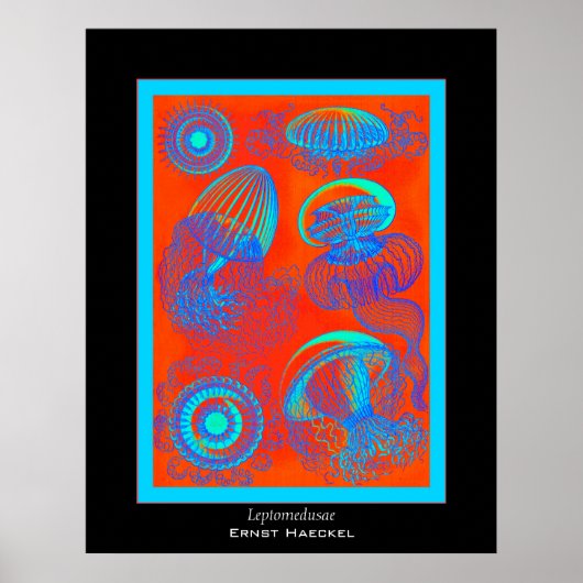 Leptomedusae ~ Ernst Haeckel Print (Voorkant)