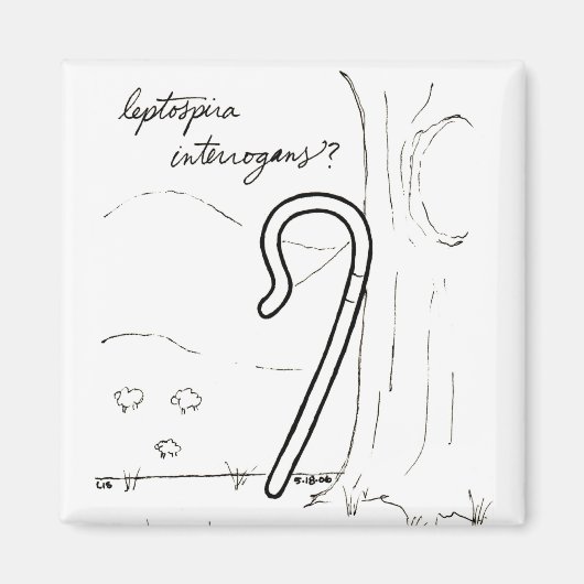 Leptospira Interrogans magneet (Voorkant)