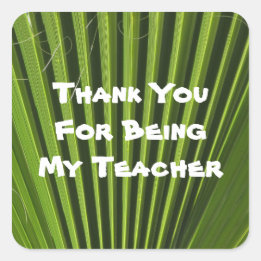 Leraar Appreciation Palm Leaf Foto Hartelijk dank Vierkante Sticker