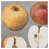 leraar rode gouden appels stof (Close Up)