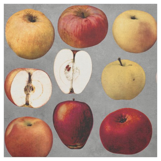 leraar rode gouden appels stof (Swatch)