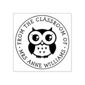 Leraar uit de bibliotheek van het klaslokaal van h rubberstempel (Afrduk)