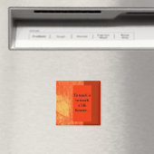 Leraarsmagneet Magneet (Insitu (Vaatwasser))