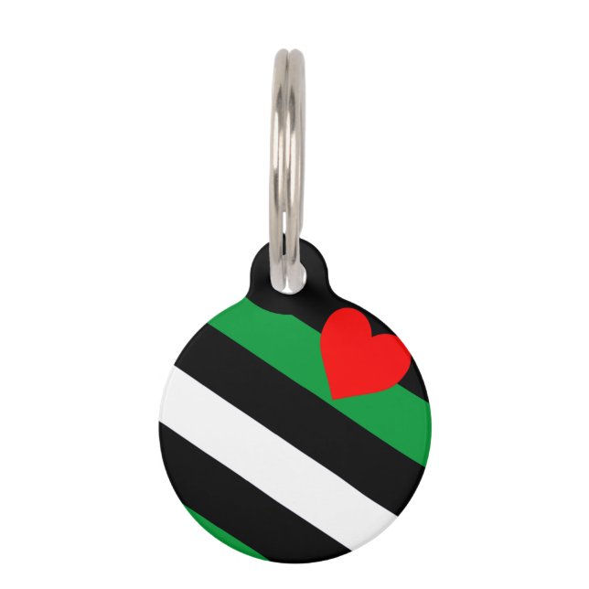 Leren Boi Pride Vlag Huisdierpenning (Voorkant)