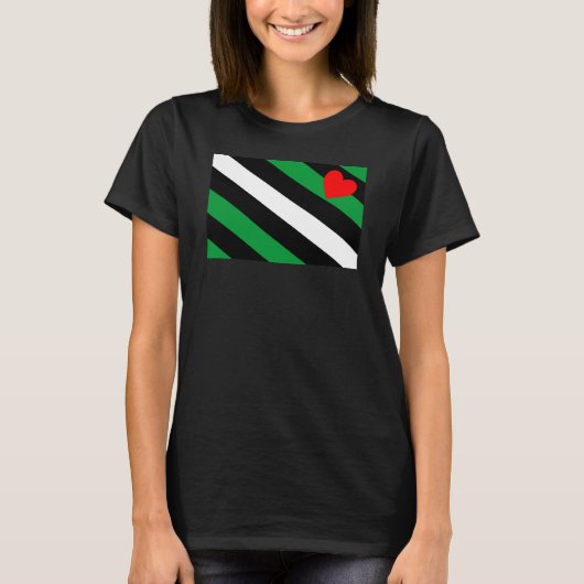 Leren Boi Pride Vlag T-shirt (Voorkant)
