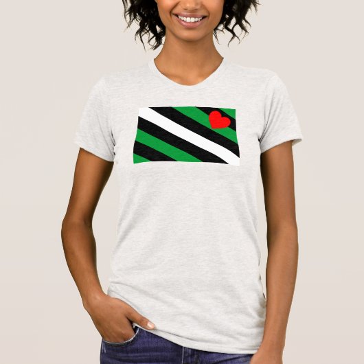 Leren Boi Pride Vlag T-shirt (Voorkant)