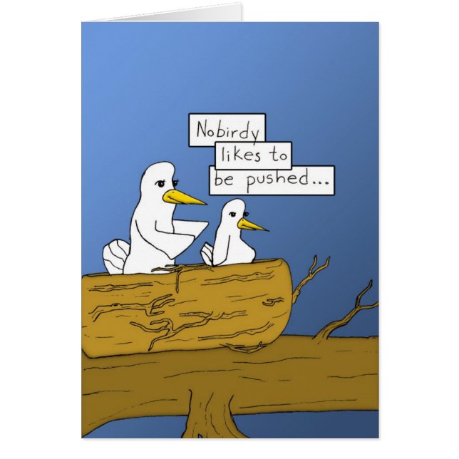 leren hoe te vliegen (Voorkant)