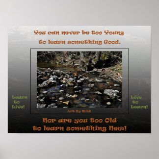 Leren leven om te leren 2 poster