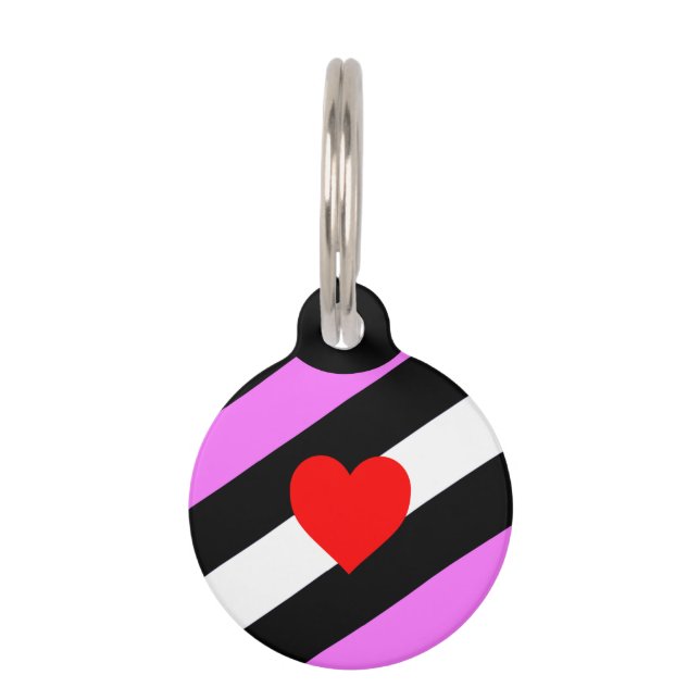 Leren Meisje Pride Vlag Huisdierpenning (Voorkant)