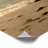 Leren met een Hobie catamaran Poster (Hoek)