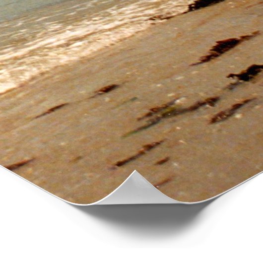 Leren met een Hobie catamaran Poster (Hoek)