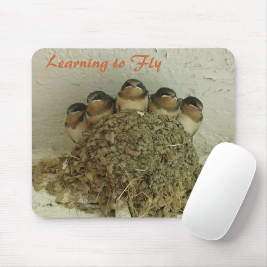 Leren naar vliegen muismat (Met muis)