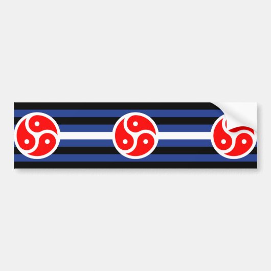 Leren oefen trots vlag bumpersticker (Voorkant)