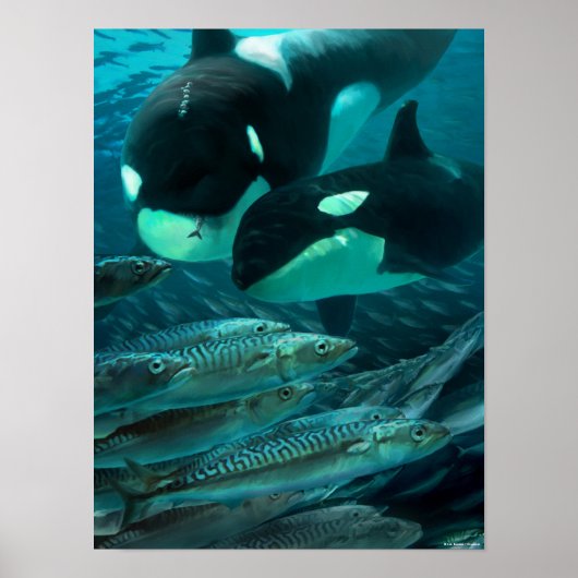 Leren om op makreel te jagen poster (Voorkant)