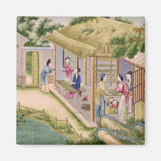 Leren over Silkwormen Magneet (Voorkant)