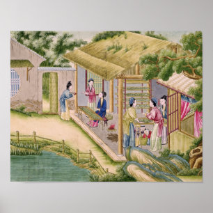 Leren over Silkwormen Poster