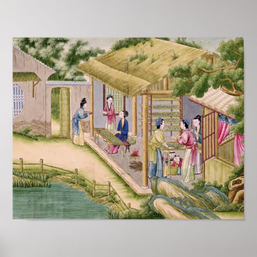 Leren over Silkwormen Poster (Voorkant)