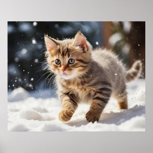 *~* Leren over Sneeuw Kat 5:4 Kitten Cat AP68 Poster (Voorkant)