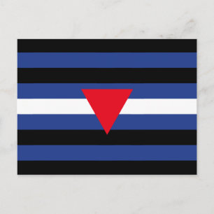 Leren Queer Pride-vlag Briefkaart