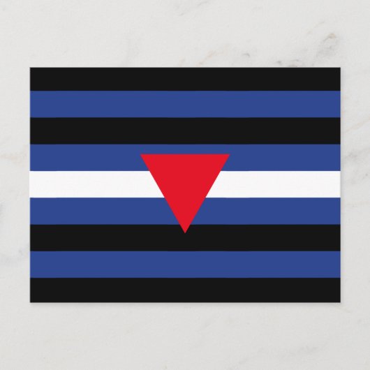Leren Queer Pride-vlag Briefkaart (Voorkant)