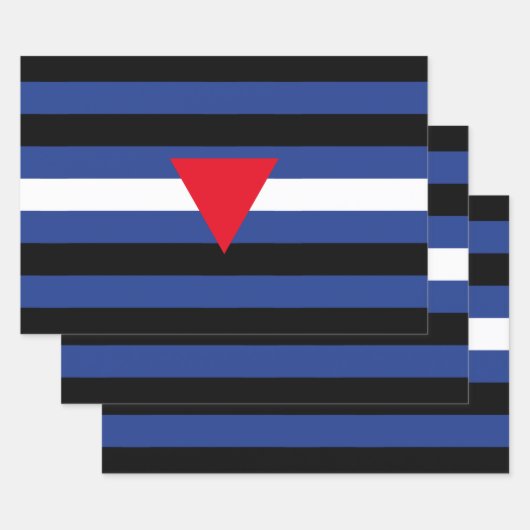 Leren Queer Pride-vlag Inpakpapier Vel (Set)