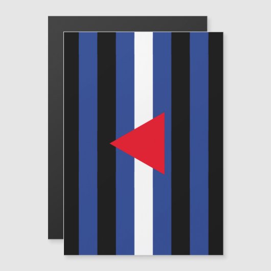 Leren Queer Pride-vlag Magnetische Uitnodiging (Voorkant / Achterkant)
