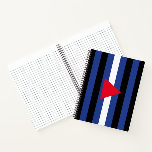 Leren Queer Pride-vlag Notitieboek (Binnen)