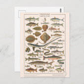 Leren van dingen in vissen briefkaart (Voorkant / Achterkant)