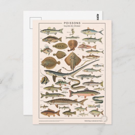 Leren van dingen in vissen briefkaart (Voorkant / Achterkant)