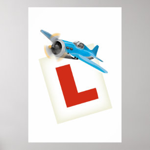 Leren vliegen poster