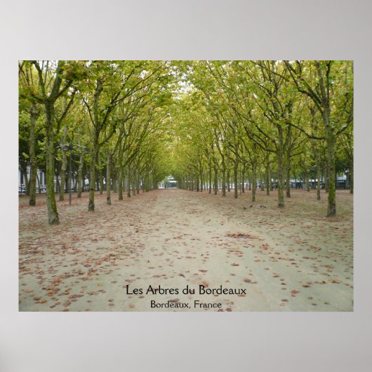 Les Arbres du Bordeaux Poster (Voorkant)