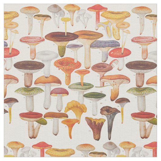 Les Champignons paddenstoelen Stof (Close Up)