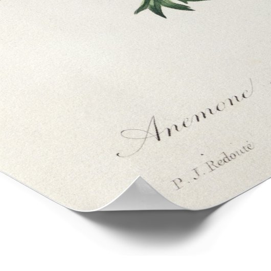 "Les Choix des Plus Belles Fleurs" Poster (Hoek)