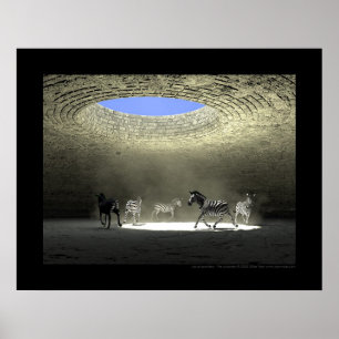 Les gevangenen - De gevangenen Poster