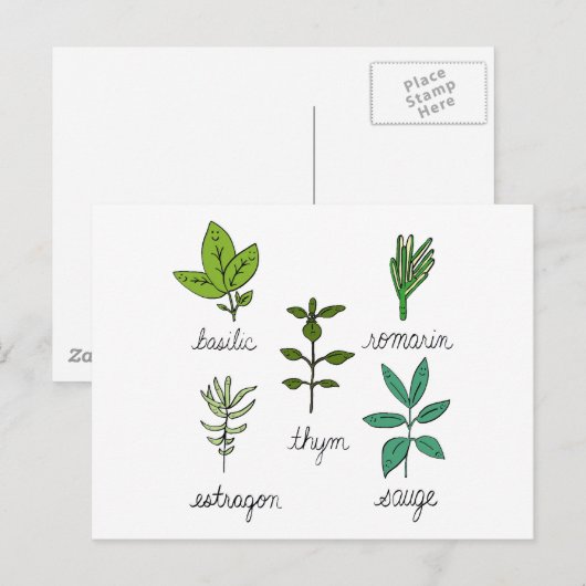 Les herbes briefkaart (Voorkant / Achterkant)