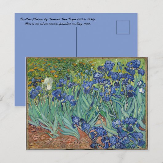 Les Iris Irises Vincent van Gogh Briefkaart (Voorkant / Achterkant)