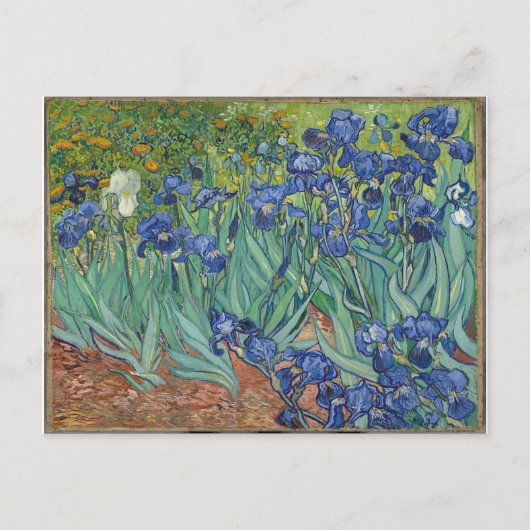 Les Iris Irises Vincent van Gogh Briefkaart (Voorkant)