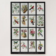 Les Jardins des Plantes  Illustrations 002