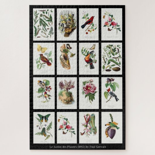 Les Jardins des Plantes  Illustrations 002 Legpuzzel (Verticaal)