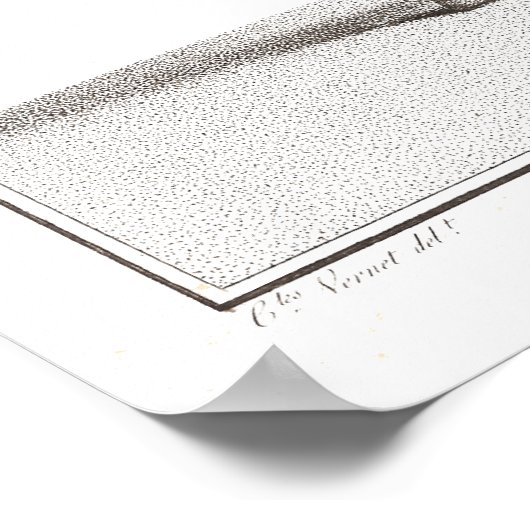 Les Merveilleuses Antiek Franse Mode Print (Hoek)