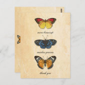 Les Papillons Bedankt Briefkaart (Voorkant / Achterkant)