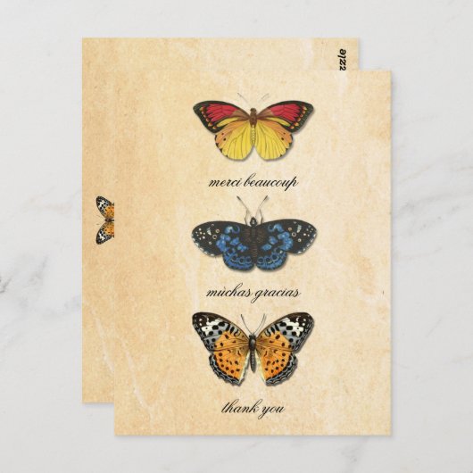 Les Papillons Bedankt Briefkaart (Voorkant / Achterkant)