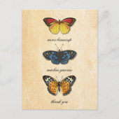 Les Papillons Bedankt Briefkaart (Voorkant)