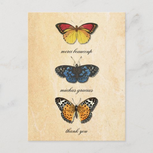 Les Papillons Bedankt Briefkaart (Voorkant)